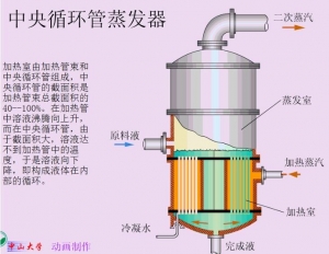 蒸发器